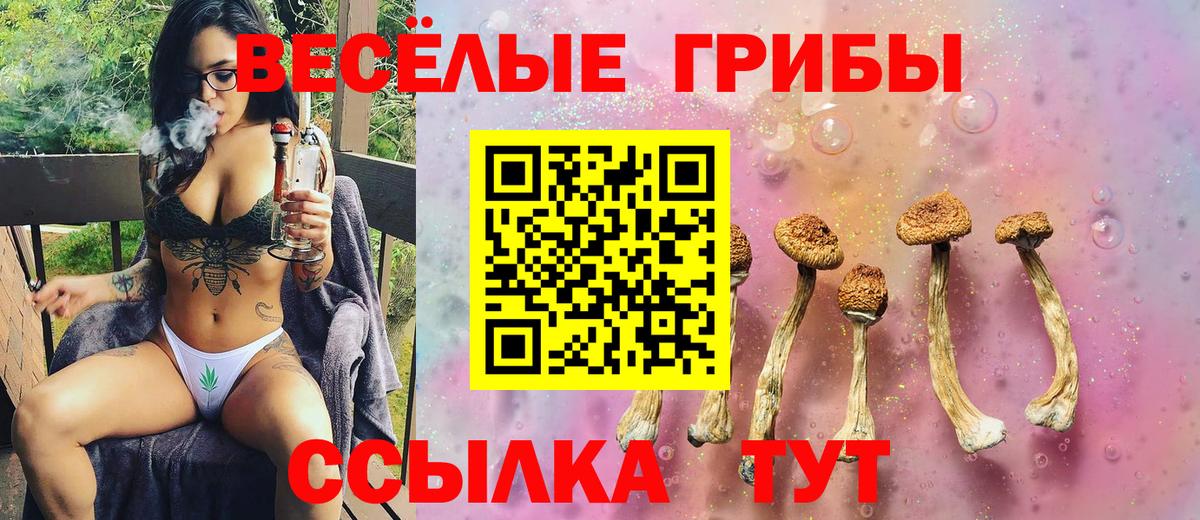 Медногорск  Псилоцибиновые грибы мухоморы  закладки  Вход с VPN  Псилоцибиновые грибы мицелий 